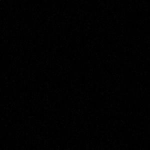 Meet your Posher, Lexi